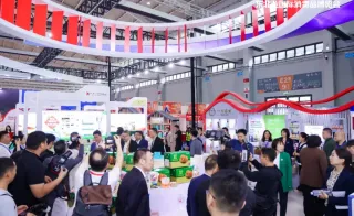 遼寧省貿促會率17家遼企參加2024香港國際印刷及包裝展