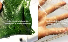 海藻包裝：可持續發展的未來？