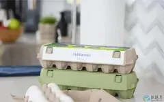 紙漿模塑市場爆發式增長：滿足消費者對可持續包裝的需求！