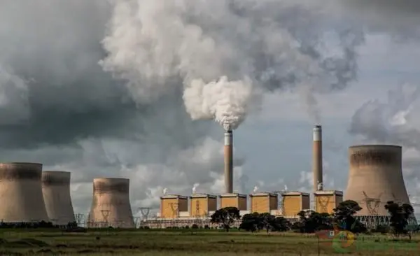 印度造紙行業(yè)的現(xiàn)狀、風(fēng)險和發(fā)展機遇