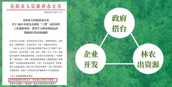 岳陽林紙2023年實現(xiàn)營收86.41億元 碳匯業(yè)務崛起成為新增長極