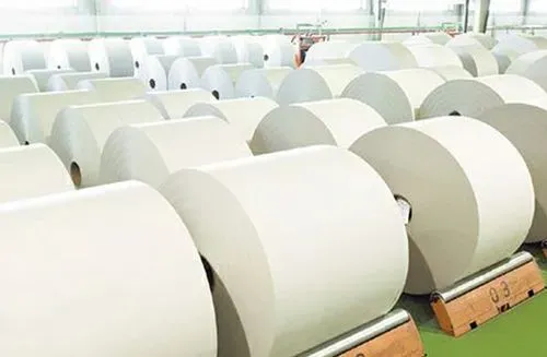 從2023年紙廠、紙機、產(chǎn)能與消費量看歐洲造紙業(yè)的大洗牌！