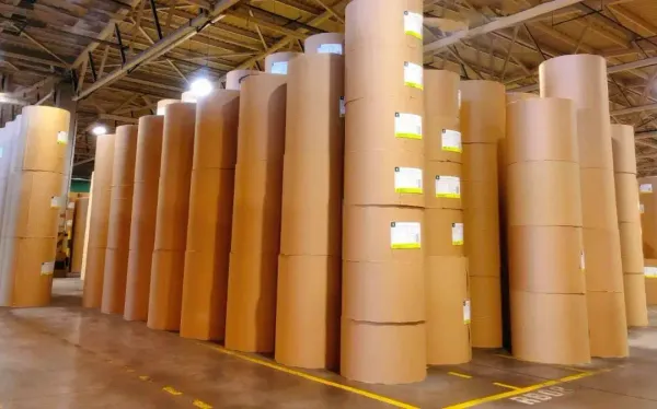 紙包裝行業(yè)縱覽：從疫情低迷中復(fù)蘇，迎接需求復(fù)蘇與定價挑戰(zhàn)！